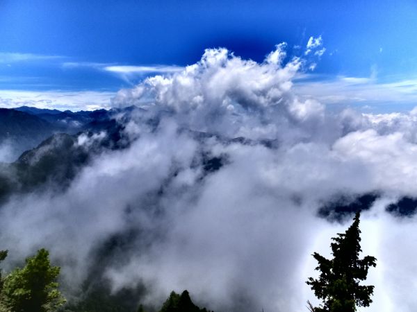 走塔山步道 攀上阿里山之巔406430