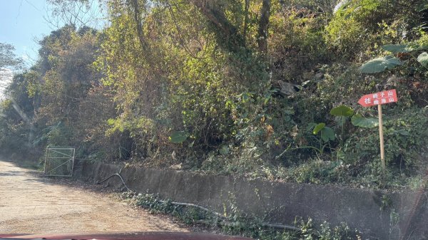 20260213 小百岳鳴海山3002951