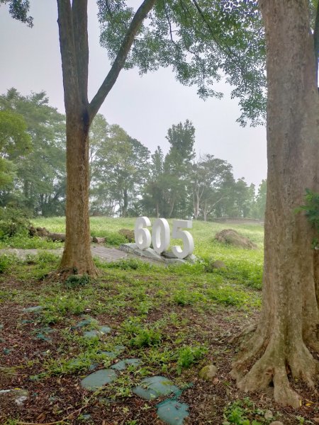 石硦林場、桶頭山O形3052331