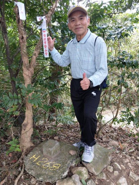 貴子坑下菁嚳步道1453736