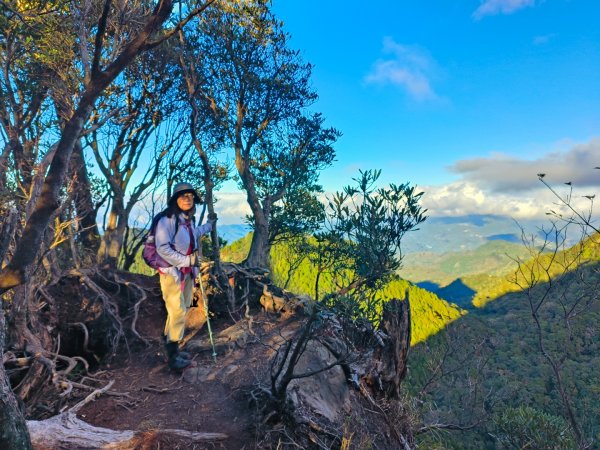 1121125 鳥嘴山縱走貴妃山2363992