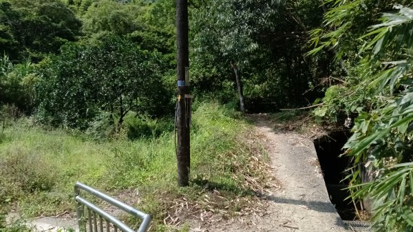 基隆市觀音湖山-東勢坑山-東勢大崙-消墾嶺古道-暖東峽谷步道O型3100565