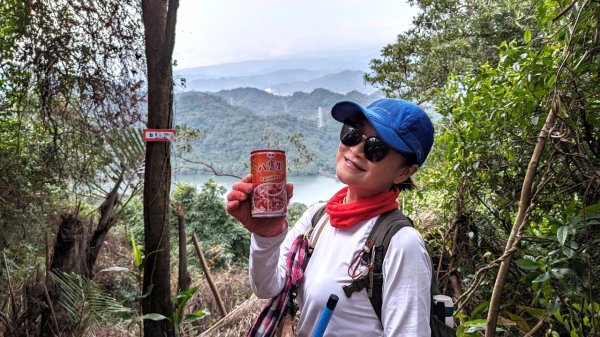 東勢大崙、東勢坑山、觀音湖山O走2986344