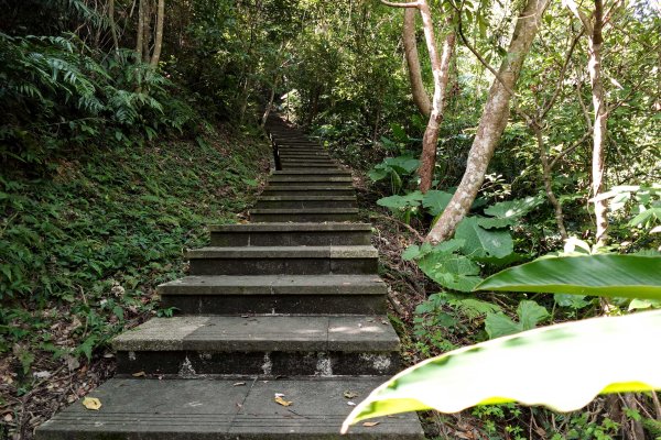 和美山｜新店碧潭步道2892093