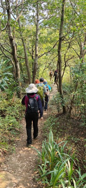 2026-0412 奇岩山_唭哩岸山_丹鳳山_軍艦岩3034868