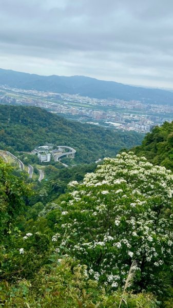 環台北天地線第十段—三峽至新店1695673