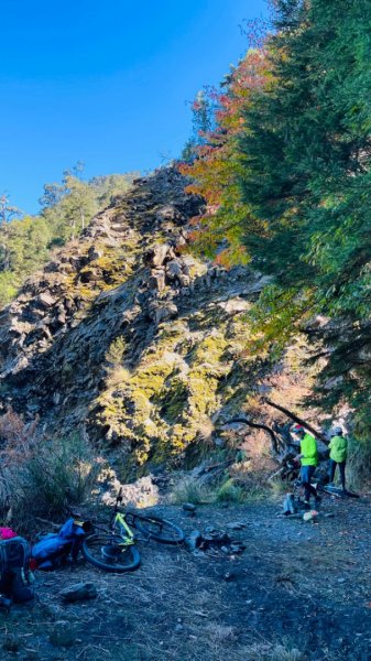 1101211大雪山230林道9.2k/雪山西稜登山口1546689