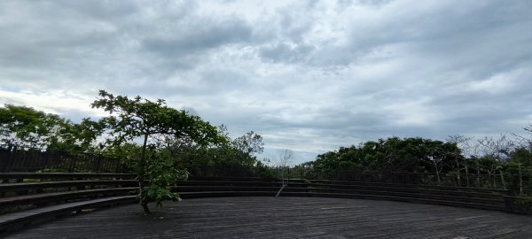 嘉義東石．鰲鼓溼地步道202406093137099