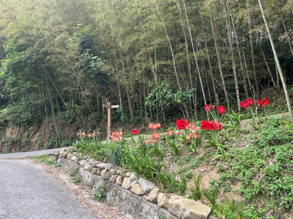 2023_0429_挑筍古道2138248