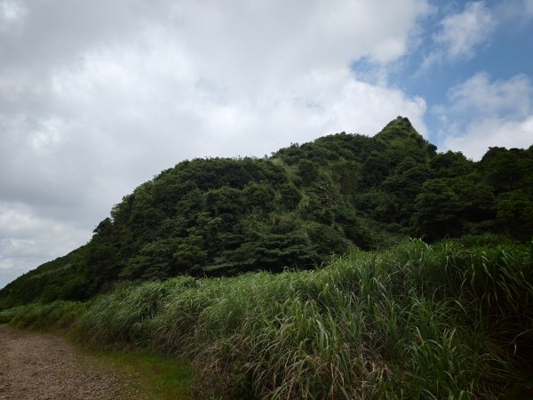 [淡蘭古道] 2026_0531 北路第一段_燦光寮古道(中)-陡坡3070881