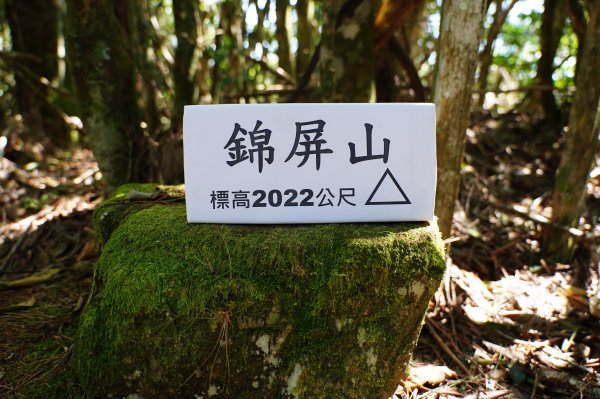 新竹 尖石 屯野生台山、石麻達山、錦屏山