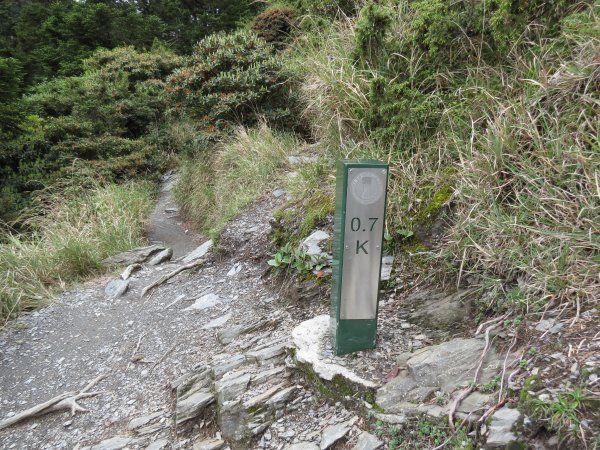 合歡山東峰-尖山-小奇萊-石門山2513089