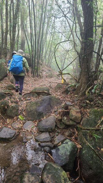 2025-01232淡蘭古道北二段(燦光寮古道到澳底)2696629