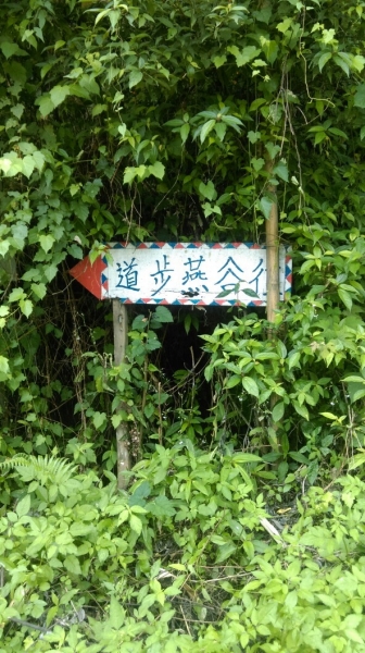20151101五峰鄉鬼澤山,谷燕瀑布27807