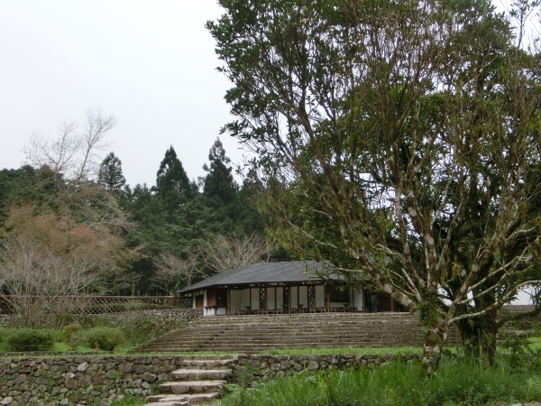 棲蘭山莊．神木園．明池93528