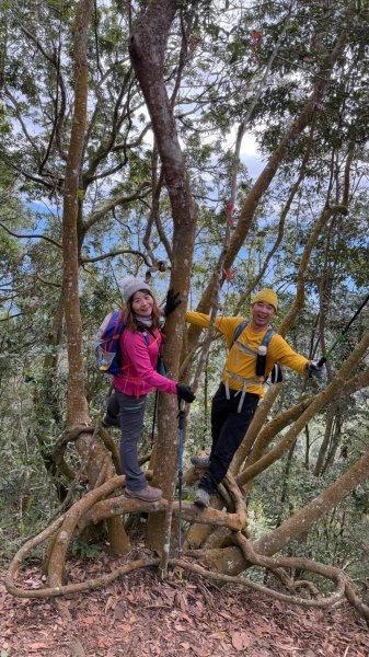 🌈1/18(六)小百岳雙收~大橫屏山+九份二山順遊賞梅🌈FB：熊熊趴爬走 歡迎加入2692534