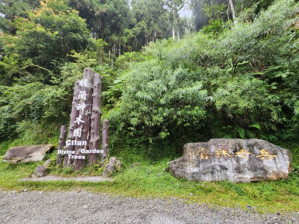 20240907 台灣棲蘭林道越野50K組2589262