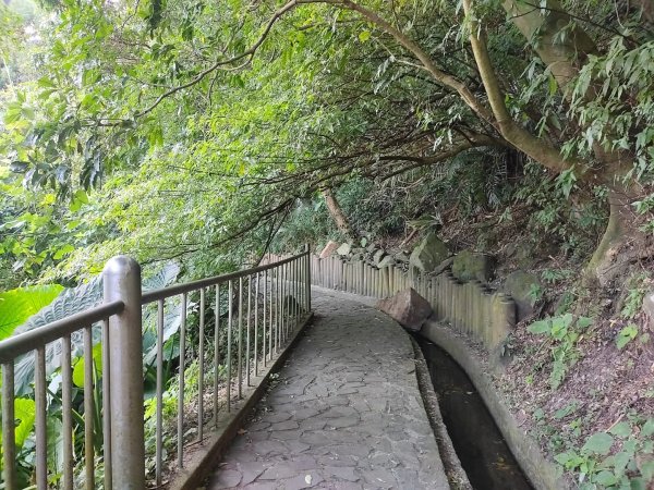 1121104貴子坑親山步道3099488