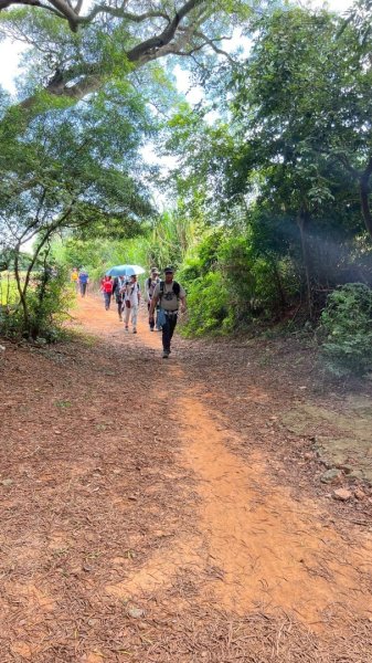 浩天宮潛水媽玉山隊團隊團練18公里2877481