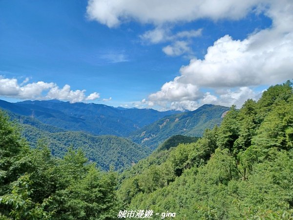 【嘉義縣阿里山鄉】避暑山林芬多精。 石山引水道步道、鹿林前山瀑布2280172