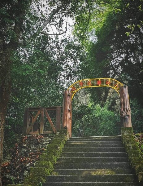 台中 八仙山國家森林遊樂區是台灣八景之一1297743