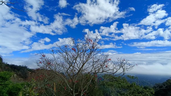 石苓湖山（頭嵙南峰）/黑山/黑山北峰/頭嵙山1585856