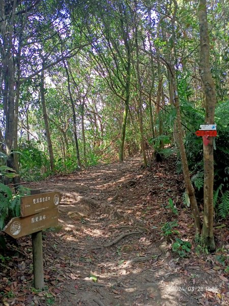 【臺北大縱走4】風櫃嘴→雙溪溝古道→五指山古道→大崙頭山北面步道→許願步道→圓覺寺步道→大溝溪→大湖2469094