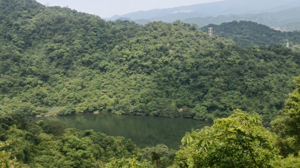 基隆市觀音湖山-東勢坑山-東勢大崙-消墾嶺古道-暖東峽谷步道O型3100581