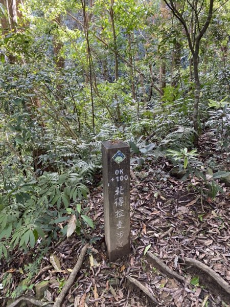 29北得拉曼11104053126548