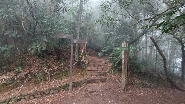 水社大山水社主峰新年二部曲1598807