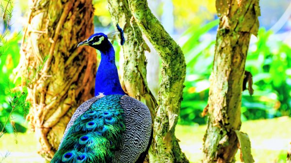 豐之谷,理想大地,林田山,立川漁場3007275