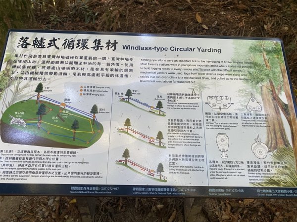 觀霧森林遊樂區（榛山及檜山巨木步道）3060124
