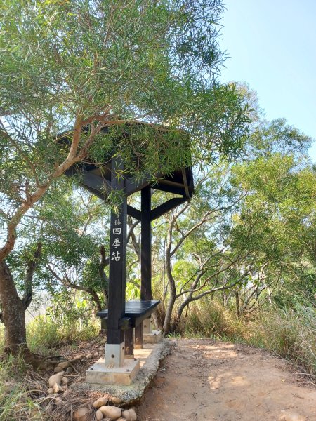 【台中大肚】綠蔭成徑。 大肚萬里長城步道O繞2790774