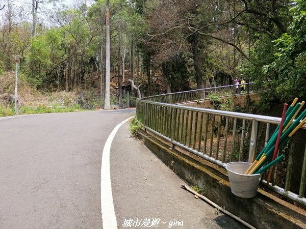 【南投。草屯】蜿蜒步道很親民。 中興新村虎山步道1383068