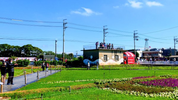 富岡仙草花2942410