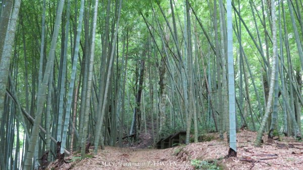 《雲林》望好望角｜石壁山嘉南雲峰步道(中側登山口）202506072805458