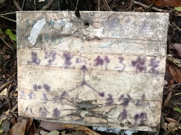 蛇子形古道+柴寮古道2754236