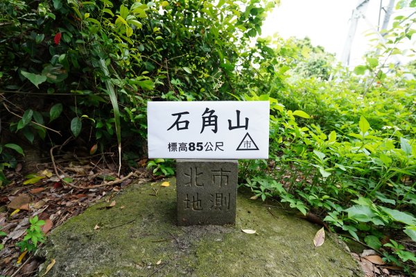 臺北 士林 玉稠湖山、石角山、白雲山、天母山2496001