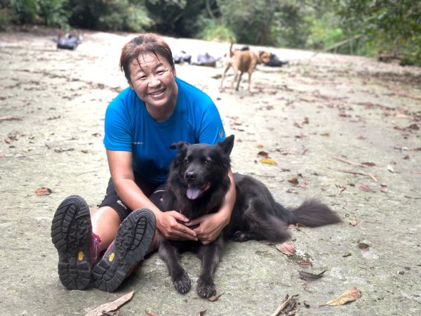 阿里山達娜伊谷、里美避難步道、巨石板步道2909927