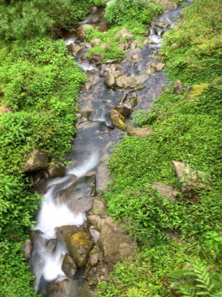 20200特富野，東水山，兒玉山O型縱走1064298