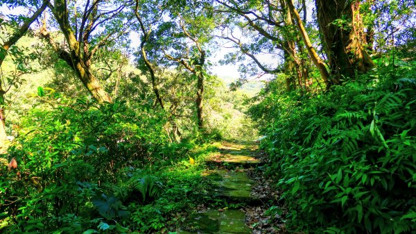 經營時間的早餐店2993553