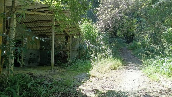 20251004 馬那邦山 - 珠湖 登山口2904984