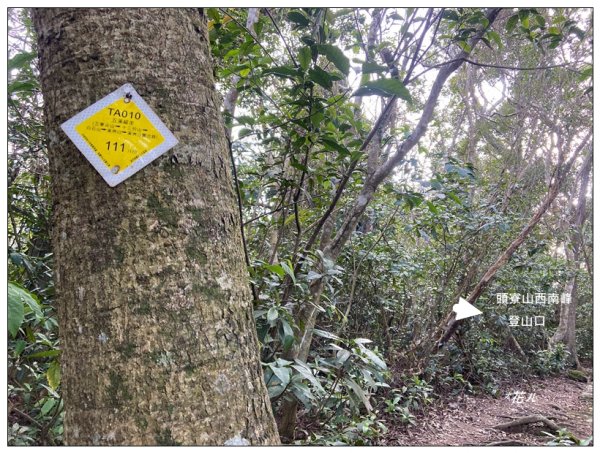 頭寮山、內湳溝山、牛角湳西南峰O型連走2738959