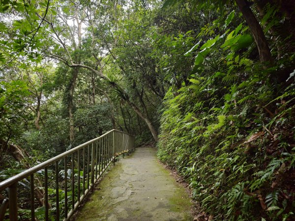 [淡蘭古道] 2026_0523 南路第一段_糶米古道3069483