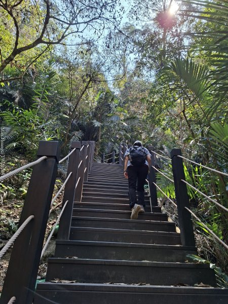 《台中》巨人之手｜雪山坑環線步道202603223021458