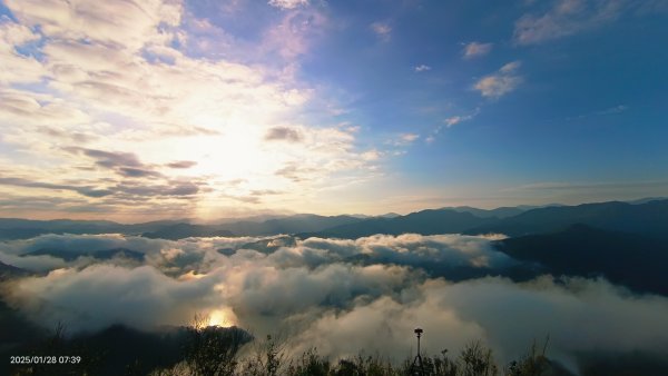 除夕寒流來襲的翡翠水庫雲海&天元宮寒櫻1/282700698