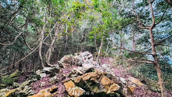 谷關七雄-屋東縱走2923554