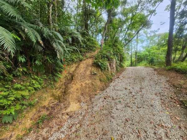 20250419蕩跋山劉家界山老社寮山新富山2936219