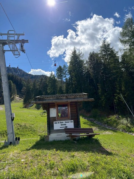 Dolomiti Ortisei Alpe Di Siusi3072874
