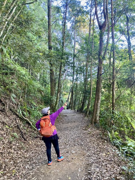 橫嶺山步道泡茶趣    2024/7/42547131